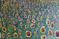 Juan Torres - Sunflowers
