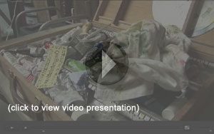 video presentation
