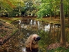 02_Lady in the Pond_Carl_Geisler_preview (1)