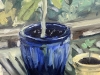 Image Number 1