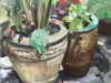 Image Number 2