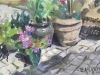 Image Number 3