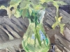 Image number 5