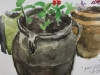 Image number 7