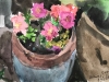 Image number 8
