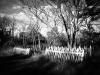 Lauren-Curtis-Forgotten-Fence