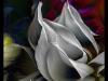 01_Hallas_Brian_Meringue