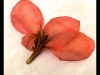 06_Hallas_Brian_Repose