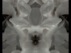 13_Hallas_Brian_New-Growth-35