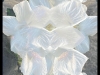 20_Hallas_Brian_Hallas_Brian_esposizioni-floreali-54