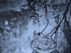 Restore-the-Places-Peichi-Waite