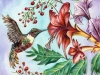 Hummingbird_watercolor_alaiyobradshaw-copy