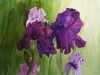 Jill_Vondervor-FrankTital