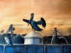VondervorJ_Pelicans