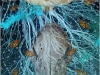 MyceliumNetwork-Nov2022sm