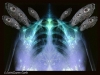 XrayDbleVisionSeraphimSept2011sm XrayDbleVisionSeraphimSept2011sm