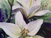 image11