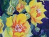 image13
