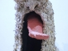 An_Ry_紙の神　-A-Paper-God_recycled_paper_wire_burlap_bicycle_tire_27x9x18