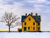 Mid-Winter-Solace-copy Mid-Winter-Solace-copy