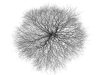 Tree-40-©Dwight-Hiscano-0363-40x40-or-24x24-Canvas Tree-40-©Dwight-Hiscano-0363-40x40-or-24x24-Canvas