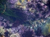 lips_of_the_sea07 lips_of_the_sea07