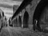 No One Knows What Lies Ahead No One Knows What Lies Ahead