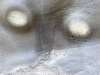 Levels-of-consciousness-2 Levels-of-consciousness-2