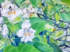 Orchid tree