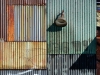 Alan-Chimacoff-Corrugated