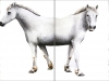 1-White-Horse-Diptych