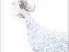 6-The-Year-of-the-Albino-Peacock