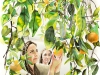 3-Picking-Oranges-in-Grandpas-Yard