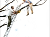 5-The-Lumberjacks