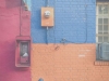 6_TriColor_AmyBecker_preview