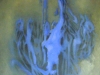 6 focus of will 16x20 oil on canvas ajohnston