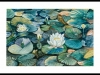 Lilies-in-the-Pond-Framed