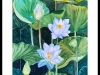 Waterlilies-II_Framed