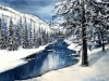 Winter-Reflections