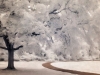 Park-Path-in-Infrared