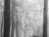 Watching-You