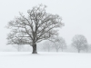 NJ Snow - Colonial Park_