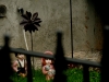 DSCN3816