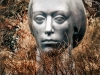 Lady IN The Woods