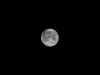 Full-Moon