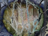 14_Brian-Hallas_verum-esse-videtur-15