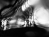 05_TreeintheHouse#5_CGeisler_preview (1)