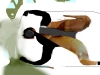 Havin-it-Both-Ways