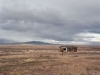 Along i80, Nevada - Alfa 18 (4)_preview