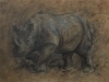 Charles David Viera 1